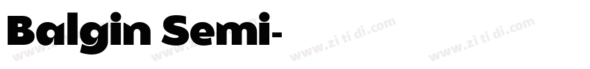 Balgin Semi字体转换